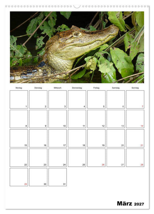 Brasilien. Wo die Sonne wohnt (CALVENDO Wandkalender 2027)