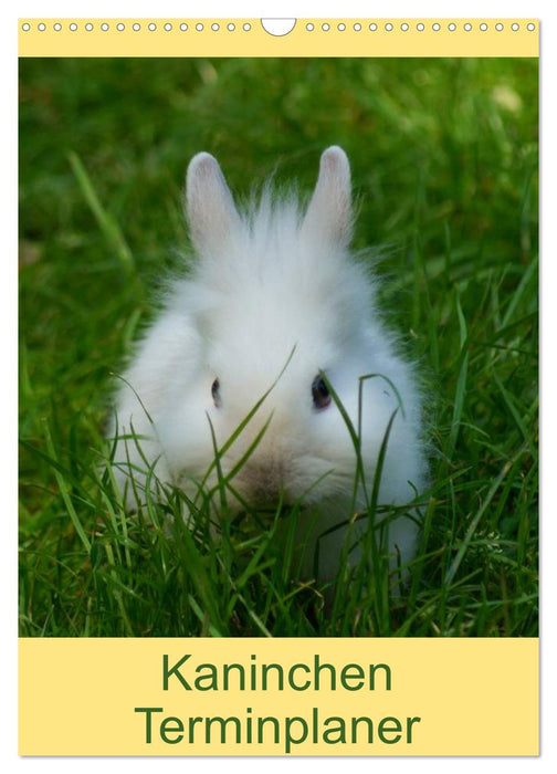 Kaninchen Terminplaner (CALVENDO Wandkalender 2027)