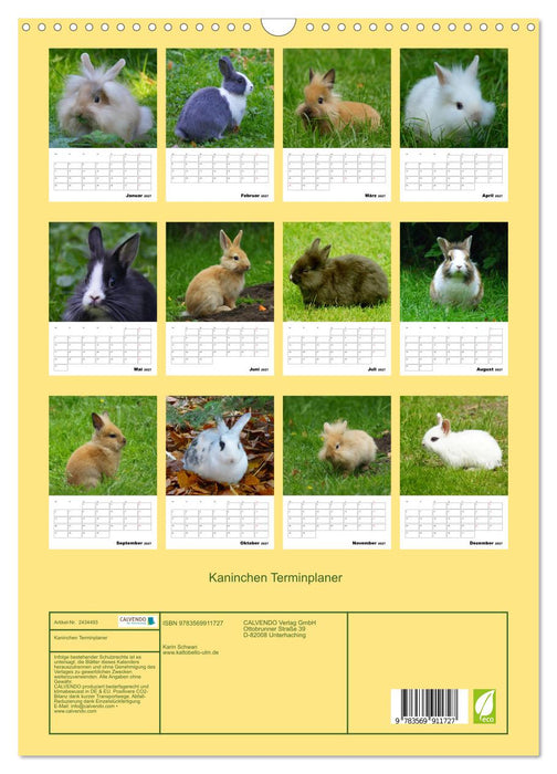 Kaninchen Terminplaner (CALVENDO Wandkalender 2027)