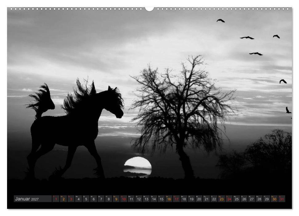 Sonne und Mond - faszinierend und anziehend (CALVENDO Premium Wandkalender 2027)