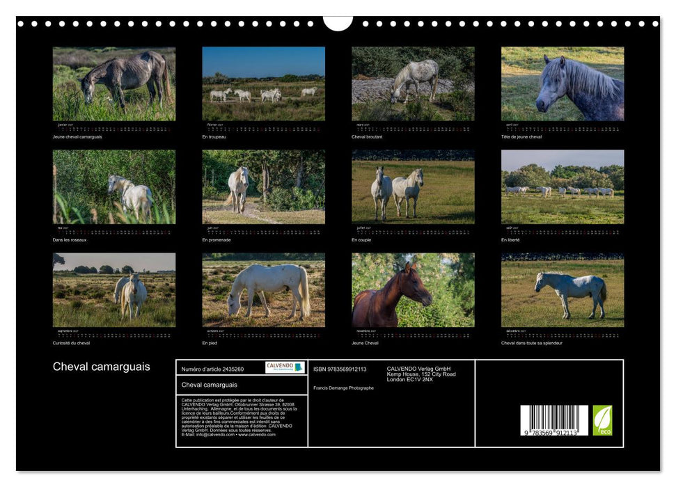 Cheval camarguais (CALVENDO Calendrier mensuel 2027)