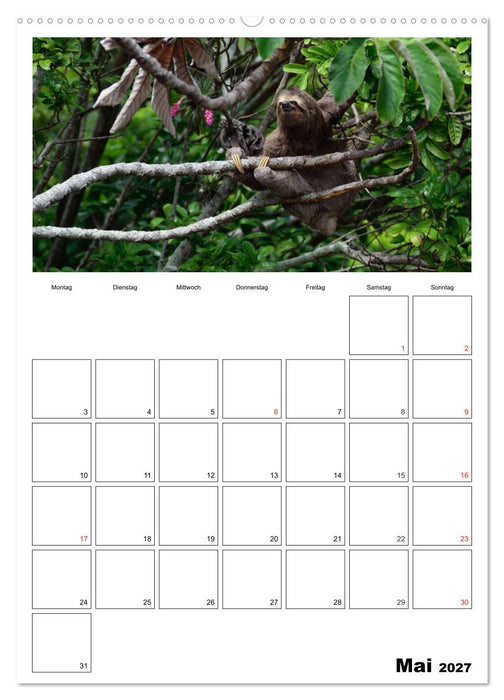 Brasilien. Wo die Sonne wohnt (CALVENDO Premium Wandkalender 2027)