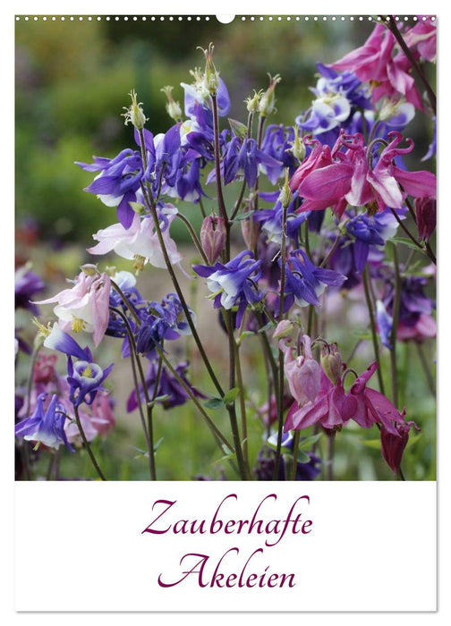 Zauberhafte Akeleien (CALVENDO Wandkalender 2027)