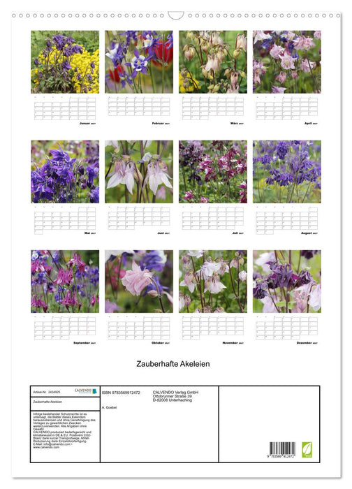 Zauberhafte Akeleien (CALVENDO Wandkalender 2027)