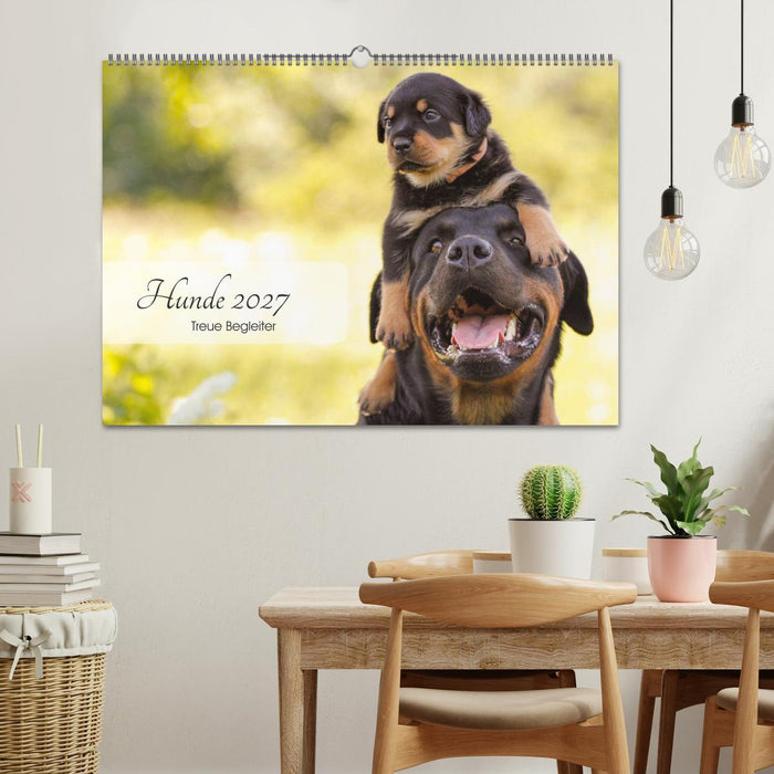 Hunde 2027 - Treue Begleiter (CALVENDO Wandkalender 2027)