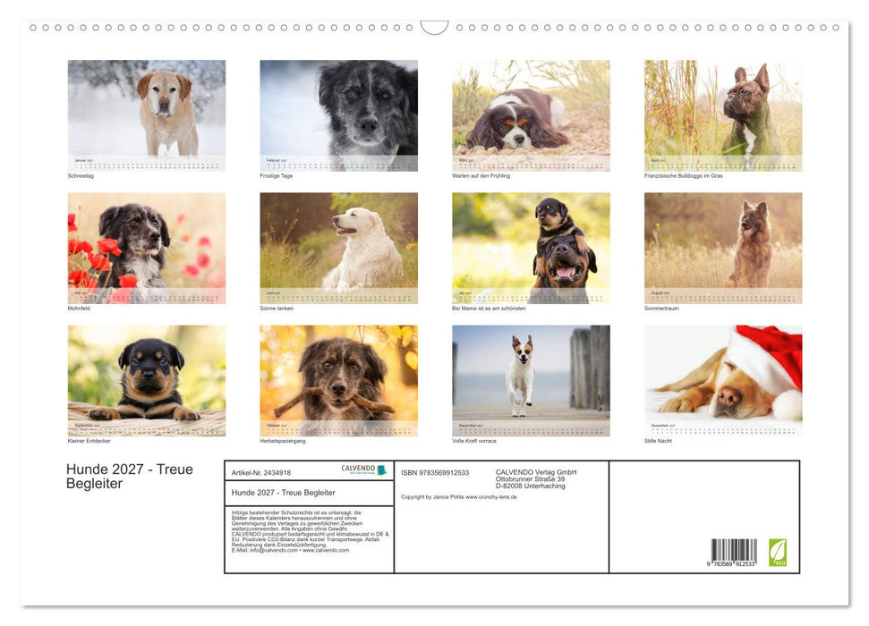 Hunde 2027 - Treue Begleiter (CALVENDO Wandkalender 2027)