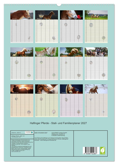 Haflinger Pferde - Stall- und Familienplaner 2027 (CALVENDO Premium Wandkalender 2027)