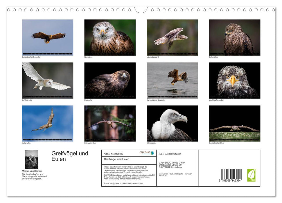 Greifvögel und Eulen (CALVENDO Wandkalender 2027)