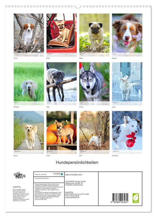 Hundepersönlichkeiten (CALVENDO Premium Wandkalender 2027)