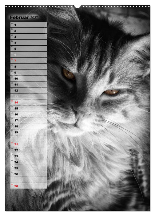 DIE GEFÜHLSWELT (CALVENDO Premium Wandkalender 2027)