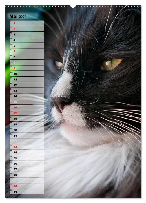 DIE GEFÜHLSWELT (CALVENDO Premium Wandkalender 2027)