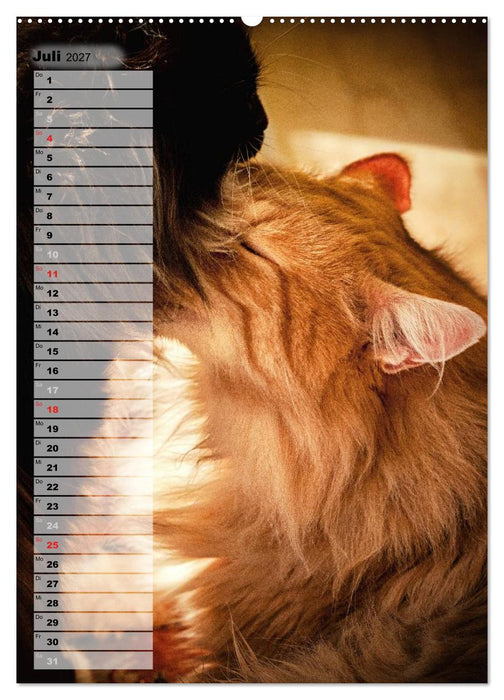DIE GEFÜHLSWELT (CALVENDO Premium Wandkalender 2027)