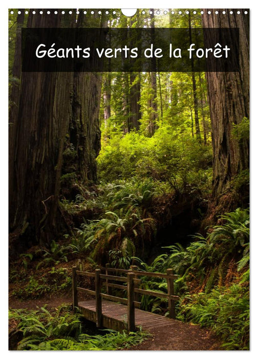 Géants verts de la forêt (CALVENDO Calendrier mensuel 2027)
