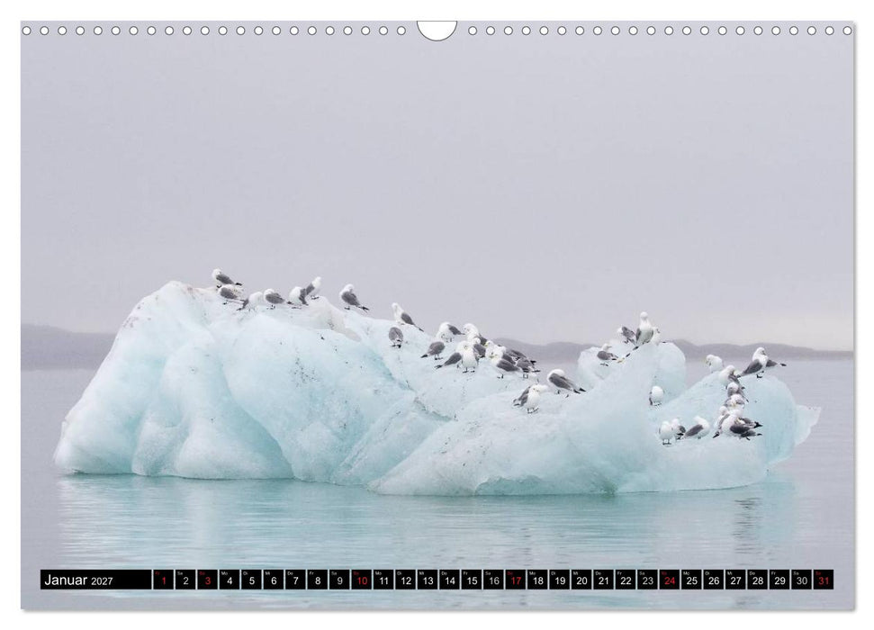 Spitzbergen - Arktische Impressionen (CALVENDO Wandkalender 2027)