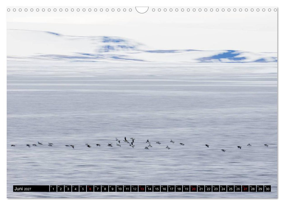 Spitzbergen - Arktische Impressionen (CALVENDO Wandkalender 2027)