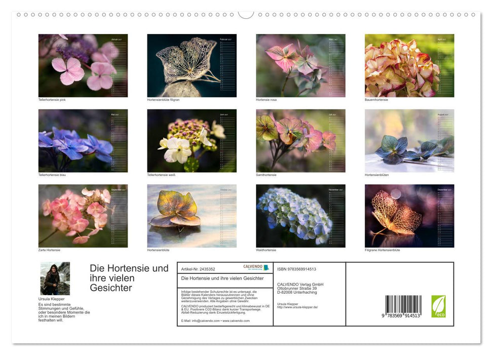 Die Hortensie und ihre vielen Gesichter (CALVENDO Premium Wandkalender 2027)