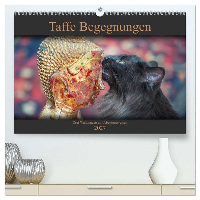 Taffe Begegnungen-Drei Waldkatzen auf Abenteuerreisen (CALVENDO Premium Wandkalender 2027)