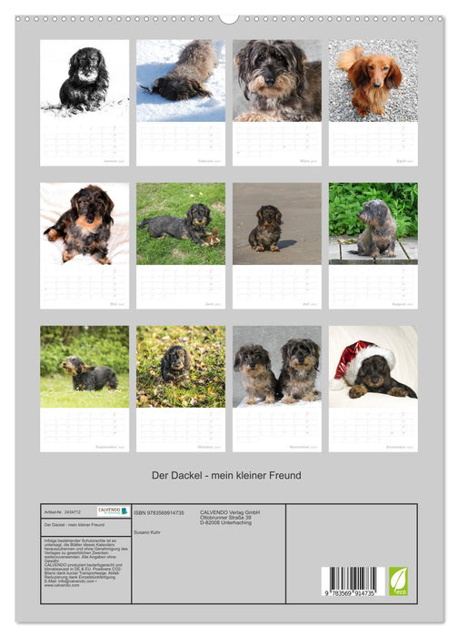 Der Dackel - mein kleiner Freund (CALVENDO Premium Wandkalender 2027)
