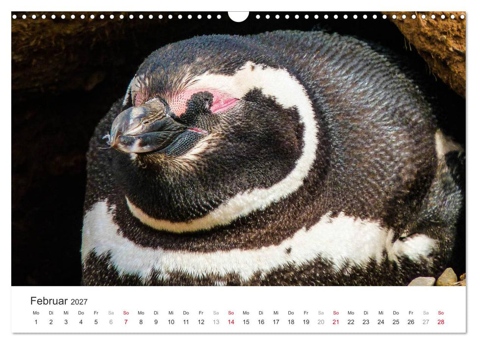 Chile - Land voller Kontraste (CALVENDO Wandkalender 2027)