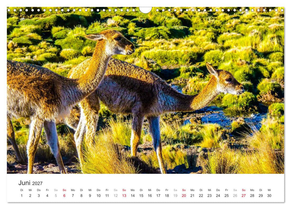 Chile - Land voller Kontraste (CALVENDO Wandkalender 2027)
