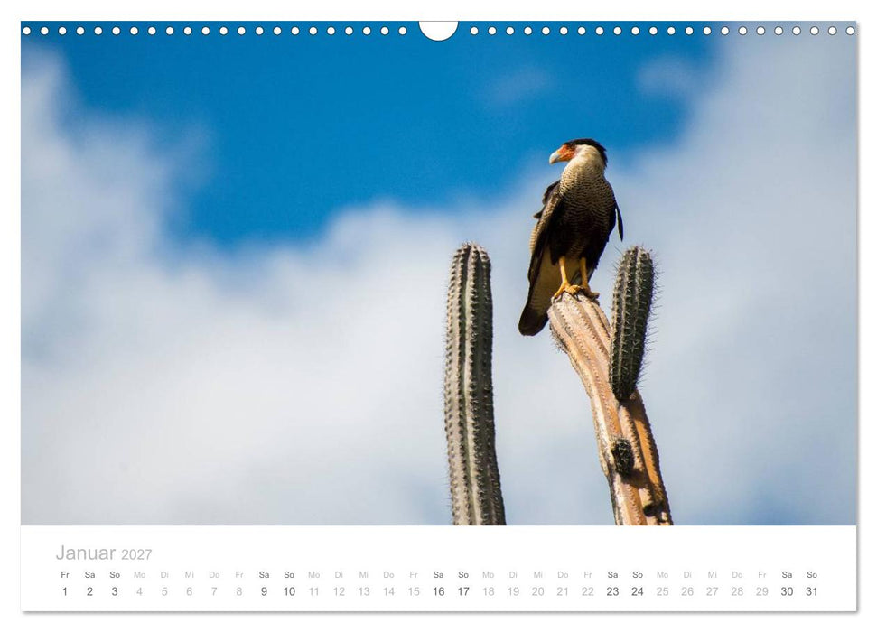 Trauminsel Curaçao (CALVENDO Wandkalender 2027)