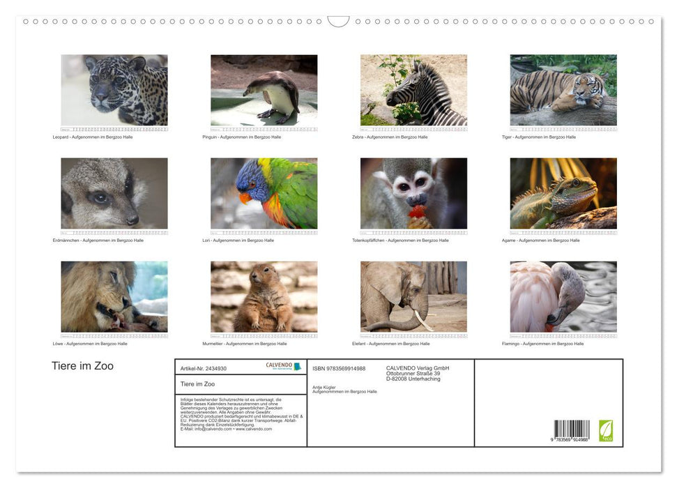 Tiere im Zoo (CALVENDO Wandkalender 2027)