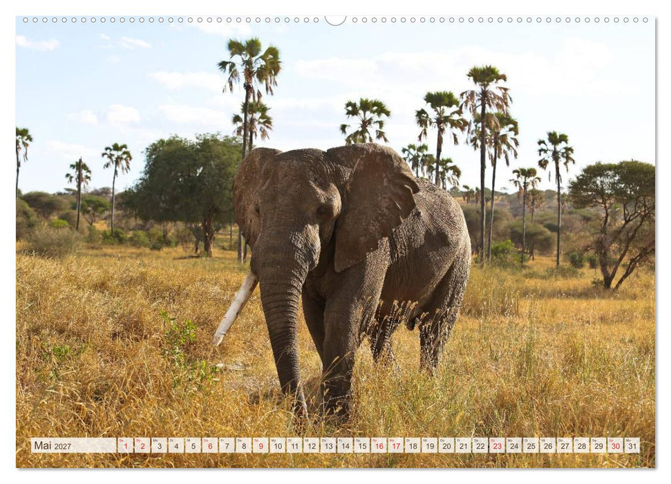Tansania - Durch die Nationalparks Ostafrikas (CALVENDO Wandkalender 2027)