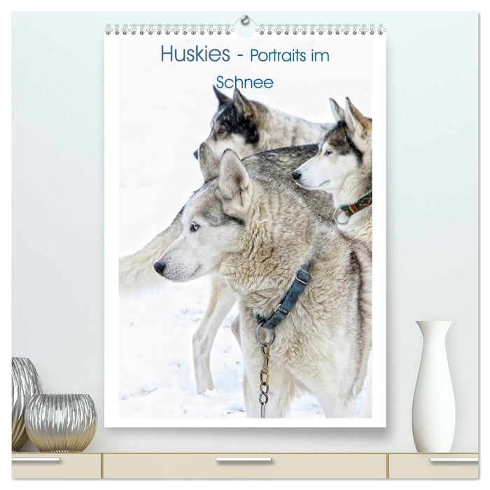 Huskies - Portraits im Schnee (CALVENDO Premium Wandkalender 2027)
