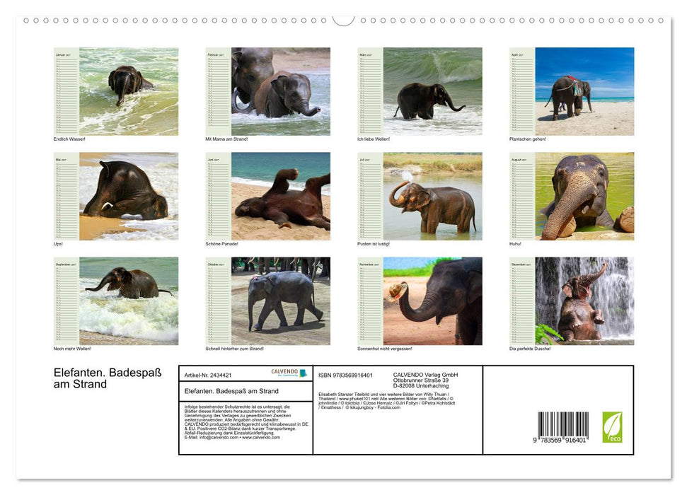 Elefanten. Badespaß am Strand (CALVENDO Premium Wandkalender 2027)