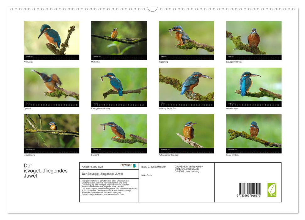 Der Eisvogel...fliegendes Juwel (CALVENDO Premium Wandkalender 2027)