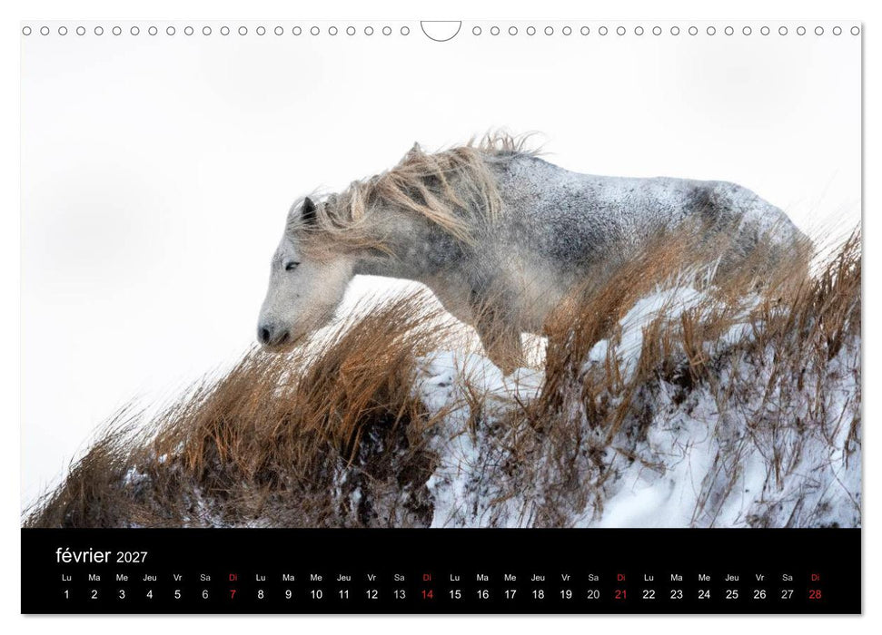 Saint-Pierre et Miquelon à l'état sauvage (CALVENDO Calendrier mensuel 2027)
