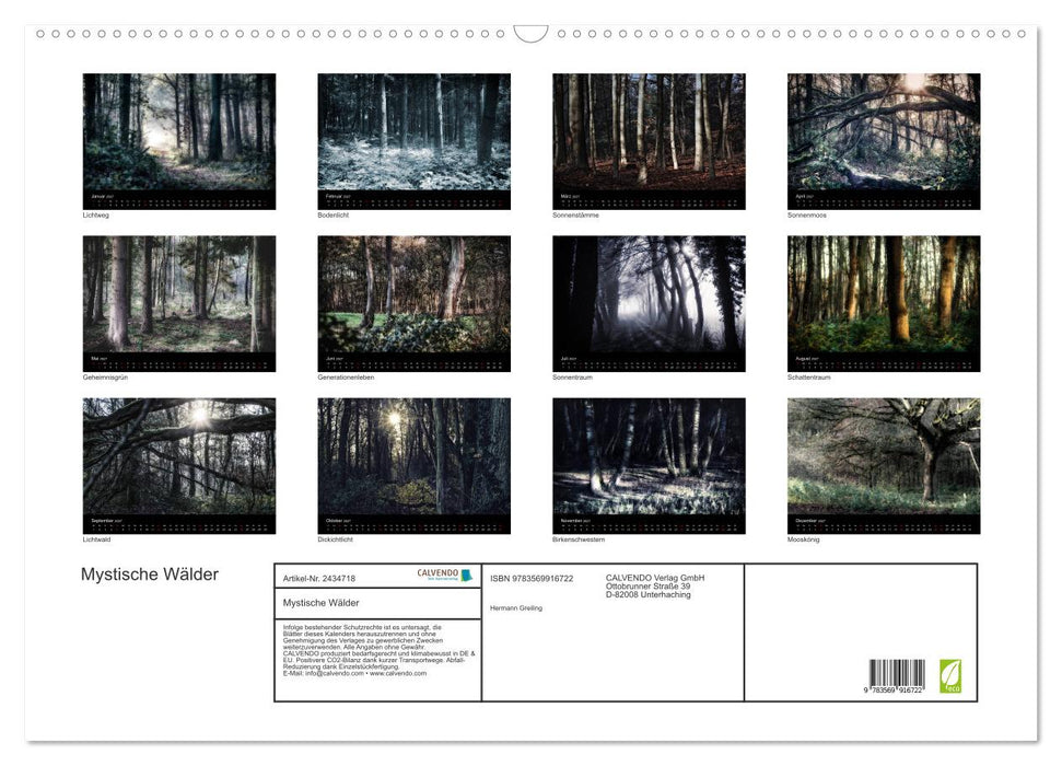 Mystische Wälder (CALVENDO Wandkalender 2027)