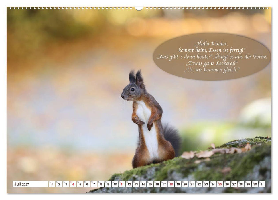 Eichhörnchen - Lustige Kurzgeschichten mit den quirligen Wildtieren (CALVENDO Premium Wandkalender 2027)