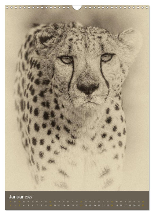 Afrikas Tierwelt - Sepia-Art (CALVENDO Wandkalender 2027)
