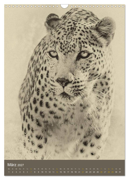 Afrikas Tierwelt - Sepia-Art (CALVENDO Wandkalender 2027)