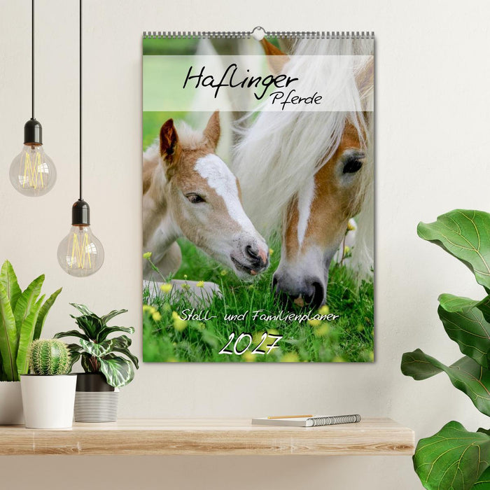 Haflinger Pferde - Stall- und Familienplaner 2027 (CALVENDO Wandkalender 2027)