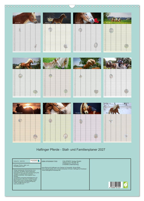 Haflinger Pferde - Stall- und Familienplaner 2027 (CALVENDO Wandkalender 2027)