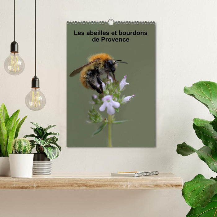 Les abeilles et bourdons de Provence (CALVENDO Calendrier mensuel 2027)