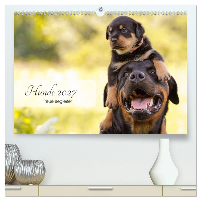 Hunde 2027 - Treue Begleiter (CALVENDO Premium Wandkalender 2027)