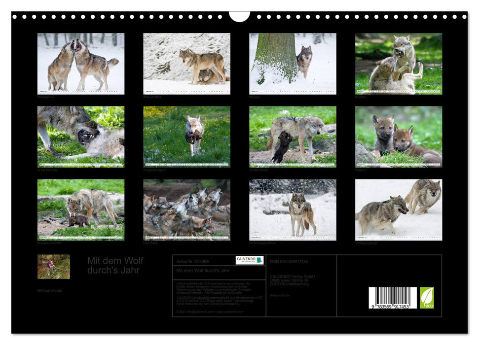 Mit dem Wolf durch's Jahr (CALVENDO Wandkalender 2027)