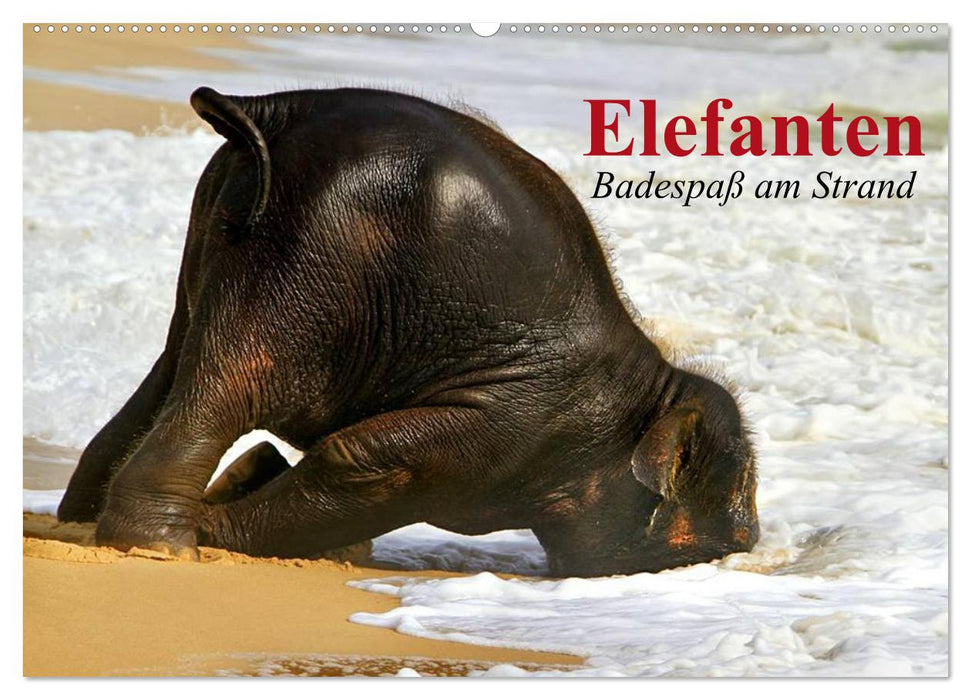 Elefanten. Badespaß am Strand (CALVENDO Wandkalender 2027)