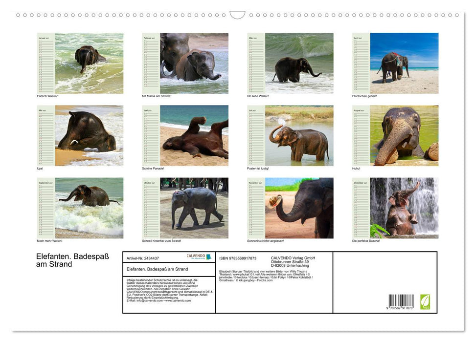 Elefanten. Badespaß am Strand (CALVENDO Wandkalender 2027)