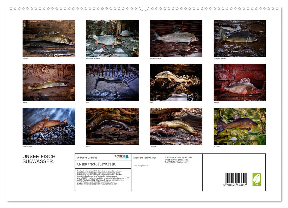 UNSER FISCH. SÜßWASSER. (CALVENDO Premium Wandkalender 2027)