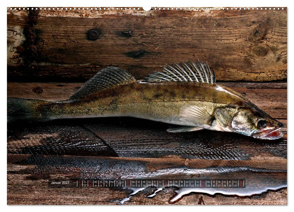 UNSER FISCH. SÜßWASSER. (CALVENDO Premium Wandkalender 2027)