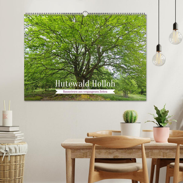 Hutewald Halloh - Baumriesen aus vergangenen Zeiten (CALVENDO Wandkalender 2027)