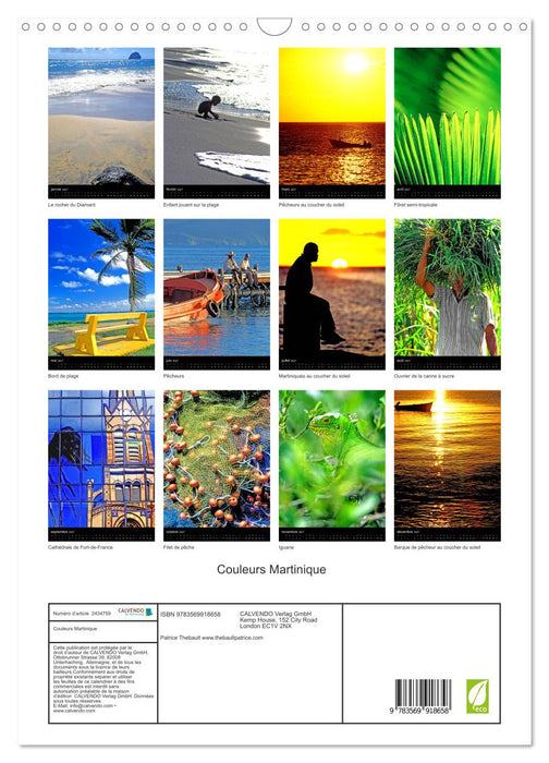 Couleurs Martinique (CALVENDO Calendrier mensuel 2027)