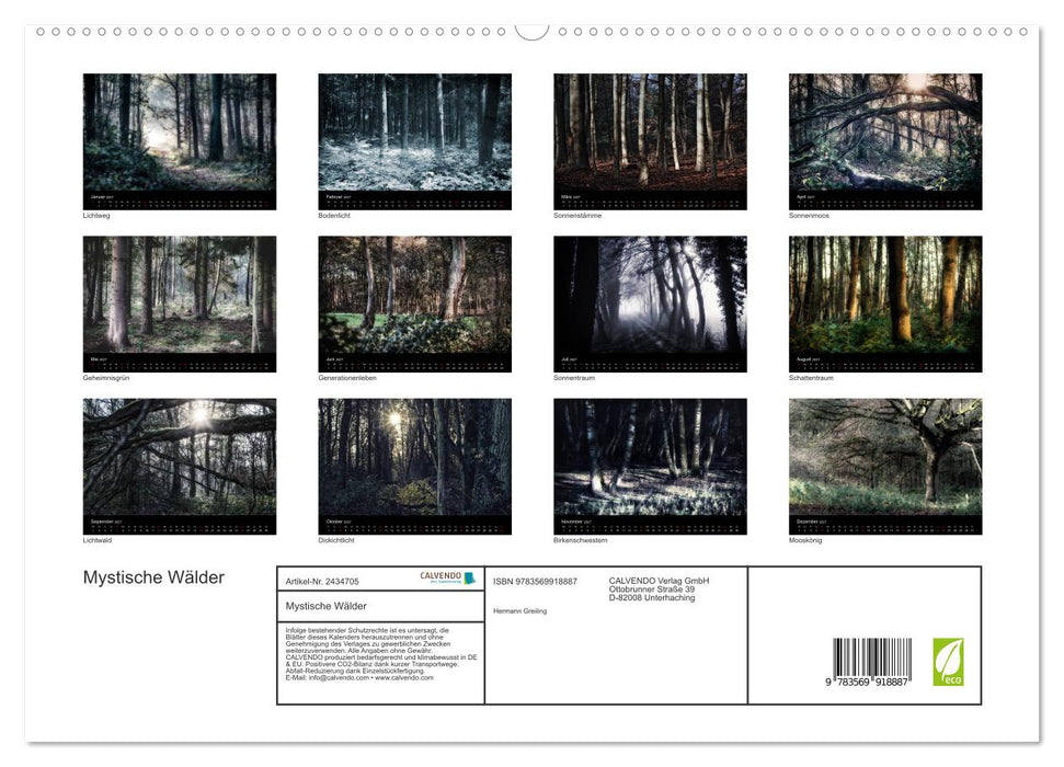 Mystische Wälder (CALVENDO Premium Wandkalender 2027)