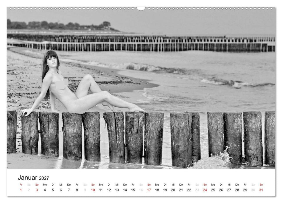 Klassischer Akt schwarz und weiß (CALVENDO Wandkalender 2027)