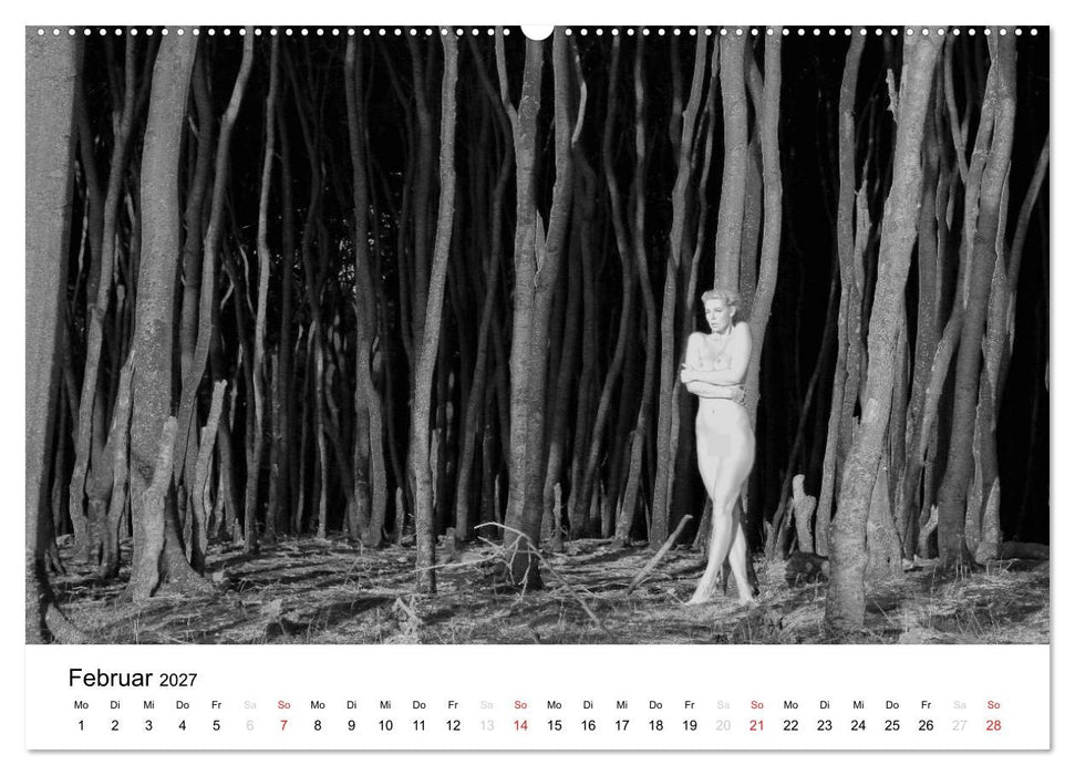 Klassischer Akt schwarz und weiß (CALVENDO Wandkalender 2027)