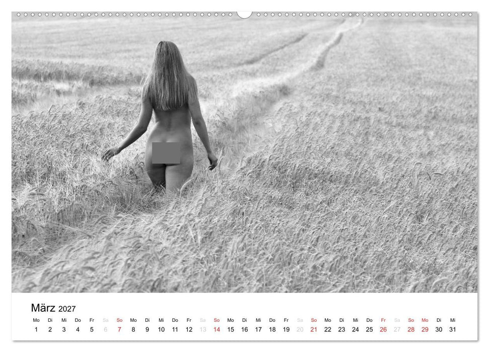 Klassischer Akt schwarz und weiß (CALVENDO Wandkalender 2027)